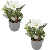 Creativ Green Winterliche Kunstpflanze "Arrangement mit Christrose" mit üppiger Blütenpracht