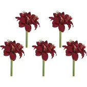 Creativ Green Kunstblume "Amaryllis" mit üppiger Blütenpracht