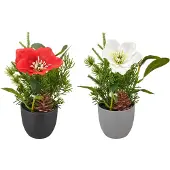 Creativ Green Winterliche Kunstpflanze "Arrangement mit Christrose" mit Tannenzweigen und Zapfen