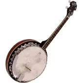 Barnes & Mullins BJ304GT Perfect Irish Gaelic 4-saitiges Banjo