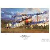 Eduard Sopwith Camel Comic 1/48