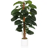 Hjh OFFICE Epipremnum