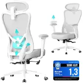 Songmics Ergonomischer Bürostuhl mit verstellbarer Unterstützung OBN066GD01