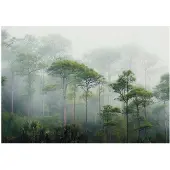 WALLARENA FOTOTAPETE 3D Effekt Wald im Nebel 250x175