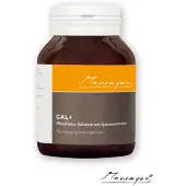 Mannayan Cal + 60 St