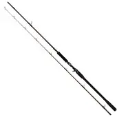 Westin W4 Powershad-t 2nd Baitcastrute Schwarz 2.55 m / 60-180 g Schwarz 2.55 m