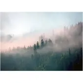WALLARENA FOTOTAPETE Wald im Nebel Vliestapete Tapete 350x250