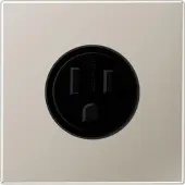 JUNG Steckdose 1f edst mt LS UP IP20 ZP NEMA ES2521-15
