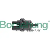 Borsehung Ventil Aktivkohlefilter B12317 für VW Golf V Schrägheck (1K1) elektrisch
