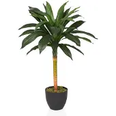 Hjh OFFICE Dracaena I