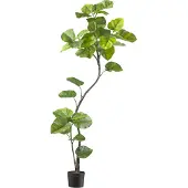Creativ Green Kunstpflanze "Ficus umbellata" mit tollem Blattwerk