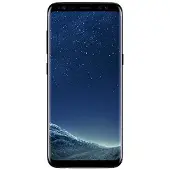 Samsung G950F Galaxy S8 () midnight-black 64GB