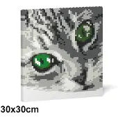 Jekca Bricks Cat Eyes Brick Painting 01S-M02 ST24CCE01-M02
