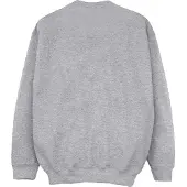 Disney - "Alice In Wonderland All Mad Here" Sweatshirt für Mädchen (Grau)