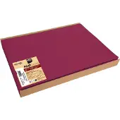 Clairefontaine Tischset ProNappe, wasserabweisend, abwischbar, reißfest, L 405 x B 305 mm, recycelbares Spunbond, bordeauxrot, 1 Schachtel mit 100 Stück