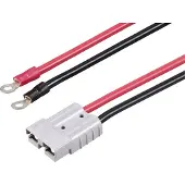 TRU COMPONENTS Hochstrom Batteriesteckverbinder auf M6-Ringöse TC-12195688 Schwarz, Rot TRU CO