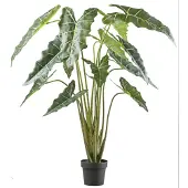 Creativ Green Kunstpflanze "Alocasia zebrina sarian" mit gestreiftem Stamm