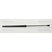 TRISCAN Gasfeder, Koffer-/Laderaum 8710 13294