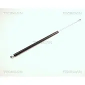 TRISCAN Gasfeder, Koffer-/Laderaum 8710 24209