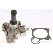 TRISCAN Wasserpumpe 8600 15039