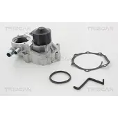 TRISCAN Wasserpumpe 8600 68022