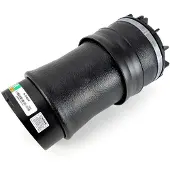 Arnott A-5656 Luftfederung Luftfeder für DODGE RAM 1500 Pick-up (DJ, DS) Hinten