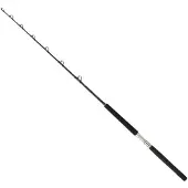 Daiwa Sealine X Trollingrute Silber 1.75 m / 50-80 Lbs Silber 1.75 m