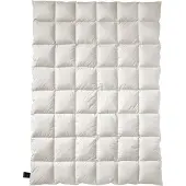 Billerbeck Eiderdaunen Decke Exclusiv No1 Batist-Mono - 135x200cm