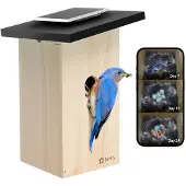Birdfy Birdhouse Nistkast mit Kamera Ebony Lite Smart – Intelligentes, solarbetriebenes Vogelhaus und KI-Vogelerkennung - EPPAMBNI8802110