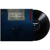 INTERSCOPE - Hit Me Hard And Soft (LP)