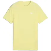 Puma T-Shirt Evostripe B