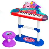Reig Musicales With Microphone Stand And Bench Klavier