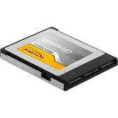 DeLOCK 54066, 256 GB, CFexpress, 1550 MB/s, 900 MB/s, Schwarz, Grau