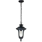 Elstead Lighting Außen Hängeleuchte, Alu schwarz, Glas klar, L 23,5 cm