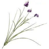 Silk-ka Kunstblume von – Seidenblumenzweig der Kaiserkrone, lila, 71 cm