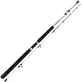 Expert Predator Master Bootsrute Silber 2.10 m / 100-180 g Silber 2.10 m