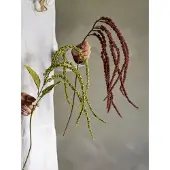 Bloomingville Foxtail