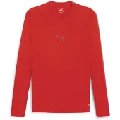 Puma Langärmeliges Unterziehshirt teamGoal