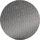 MENZER Klett-Schleifgitter Ø 225 mm, Korn 60, Siliziumkarbid, 25er Pack