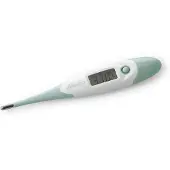 Alecto Digitales Thermometer Grün 1 St