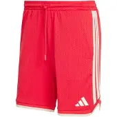 Adidas Herren Shorts STADIUM MESH