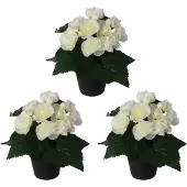 Creativ Green Kunstpflanze "Begonie" im 3er Set