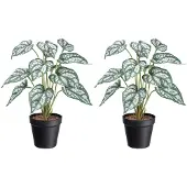 Creativ Green Künstliche Zimmerpflanze "Syngonium" mit grünweißen Blättern