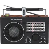 Datel Radio Frisky RD-70