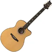 Paul Reed Smith PRS SE A40E Angelus Elektroakustisch Natur (2026)