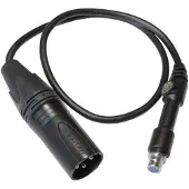 Lewitt 3-Pin-Mini-Buchse auf Standard-3-Pin-Standardstecker