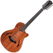 Taylor Guitars Taylor T5z Klassisches Palisanderholz