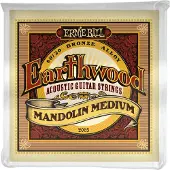 Ernie Ball Earthwood 2065 Mandoline Medium Set