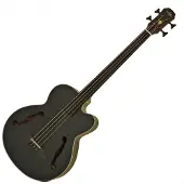 Aria FEB-F2M/FL Medium Scale Fretless Bass schwarz gebeizt