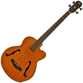 Aria FEB-F2M Medium Scale Bass schwarz gebeizt